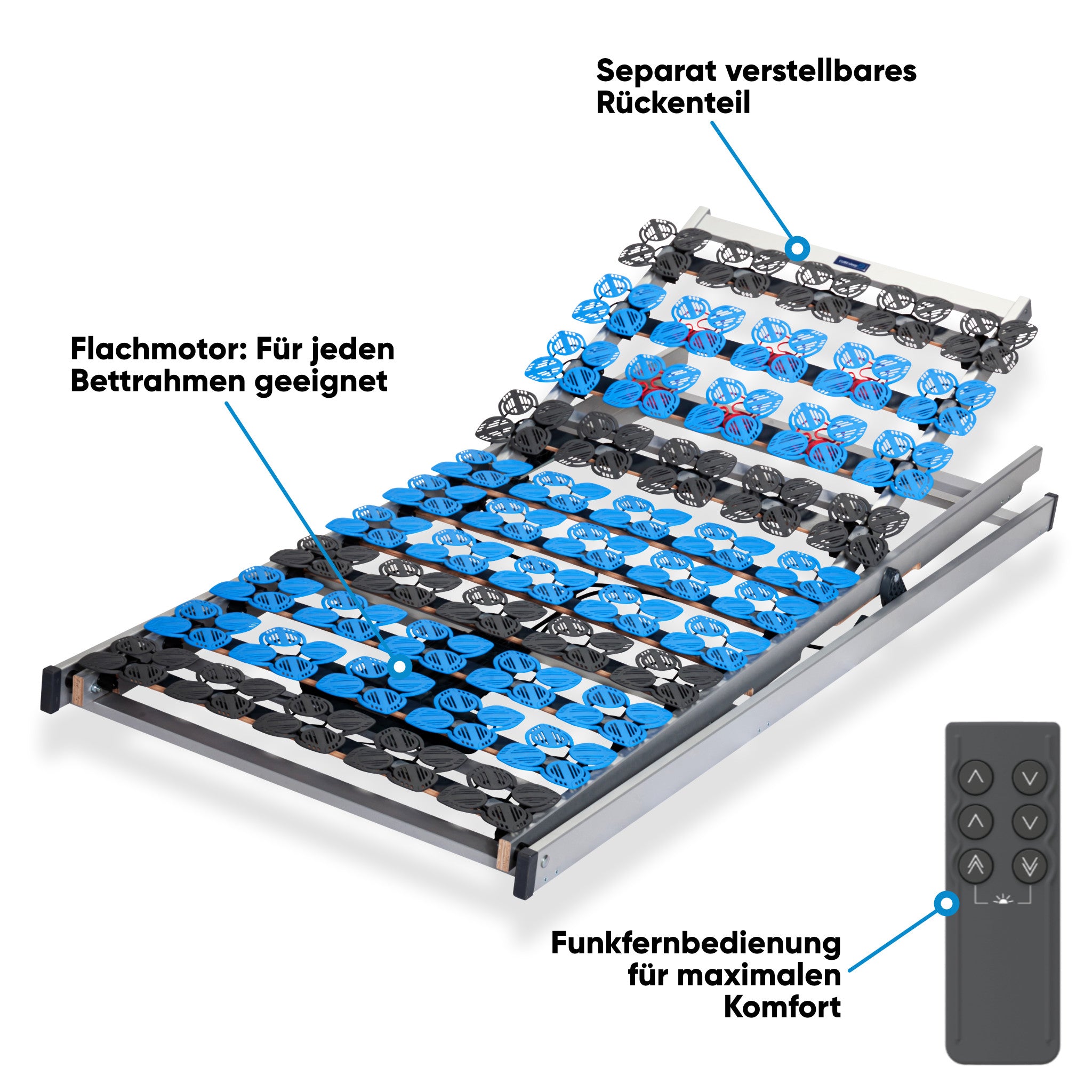 Funkfernbedienung für elektrischen Tellerlattenrost